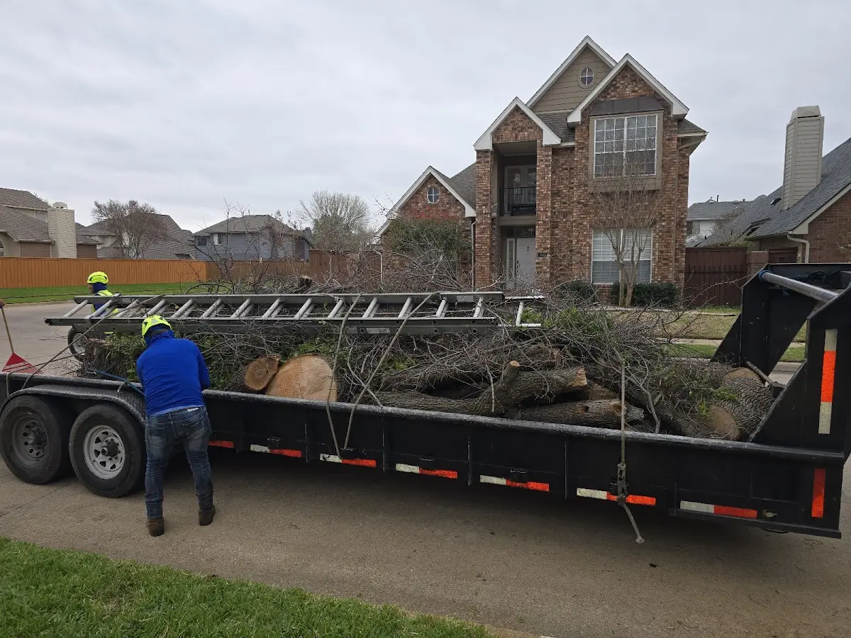 Expert Crown Reduction with proper safety equipment in Rushville